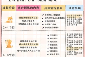 如何制定适合不同年龄段的快攻训练计划?